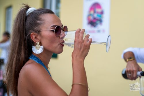 HouseWeinPartyV2-142