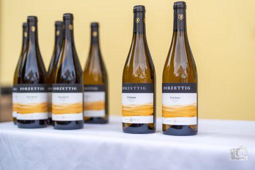 HouseWeinPartyV2-017