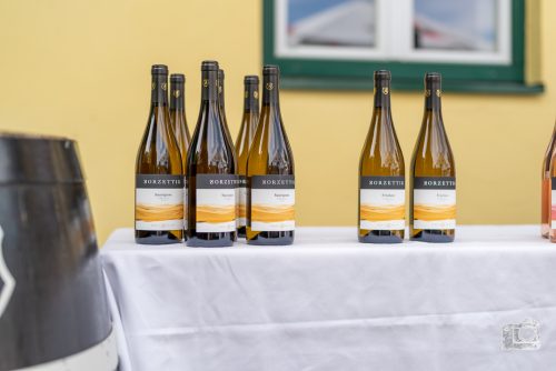 HouseWeinPartyV2-006